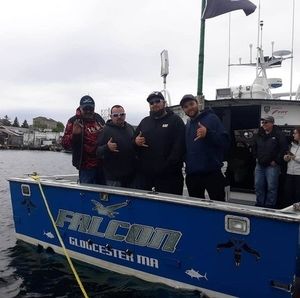 Meet your Posher, Johnston